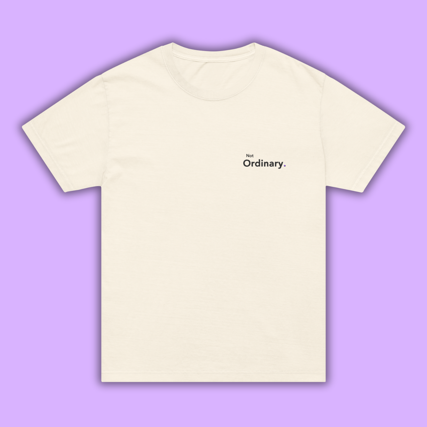 Not Ordinary. - Embroidered Oversized Tee